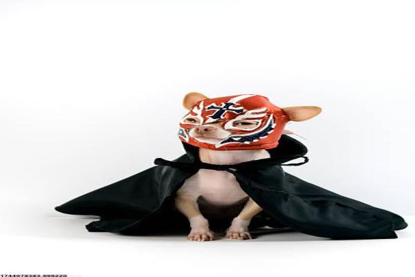 我最喜欢的奥运会体育项目及其特色