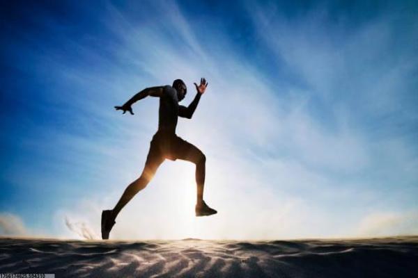 体育培训申请报告模板与填写指南